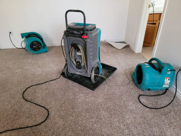 Best Mold removal after water damage  in Strasburg, OH