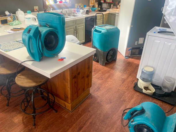 Best Local water damage restoration  in Strasburg, OH