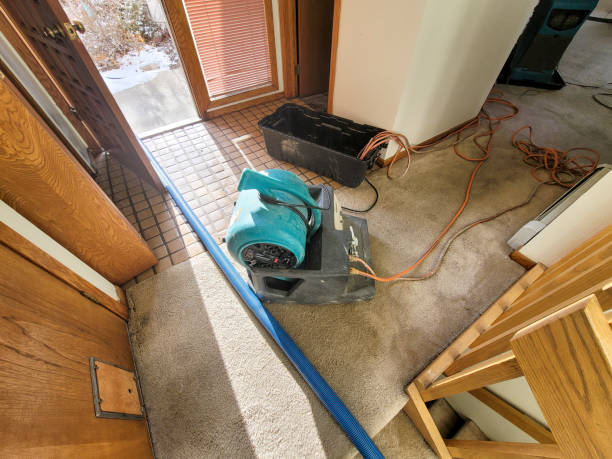 Best Ceiling water damage repair  in Strasburg, OH
