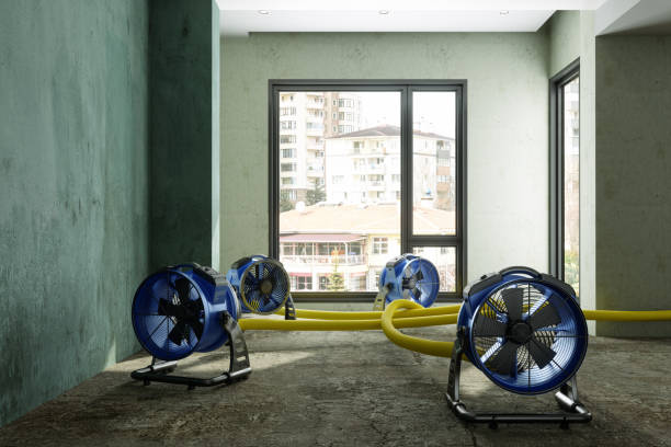 Best Water damage restoration mold remediation  in Strasburg, OH